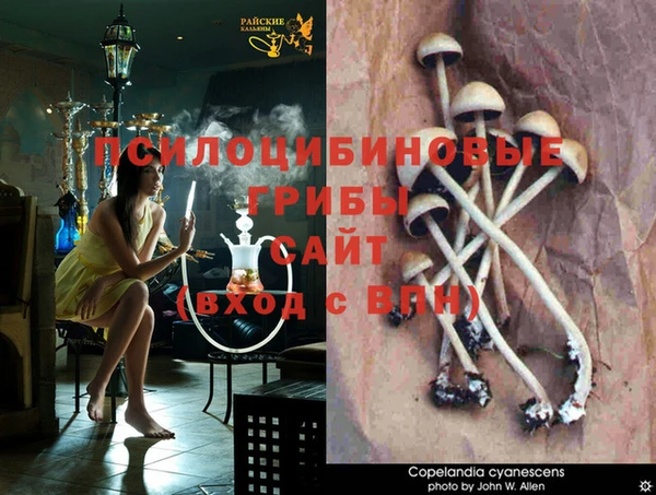 экстази Волосово